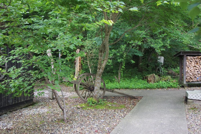 IMGP9637 (2)