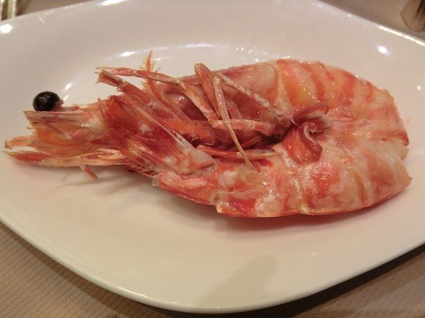 月に一度の世界スパ&エステ巡り