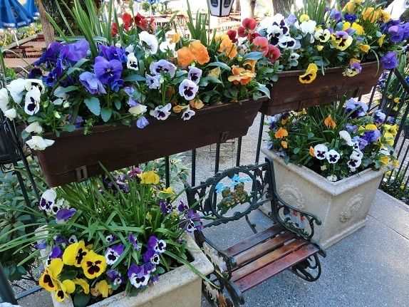 月に一度の世界スパ＆エステ巡り　