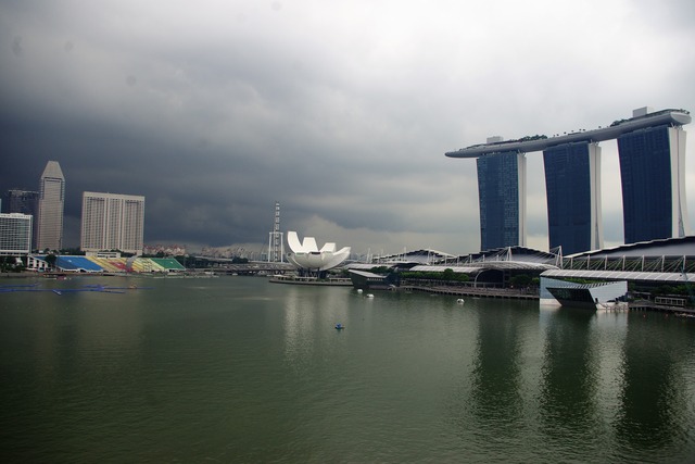 IMGP4519