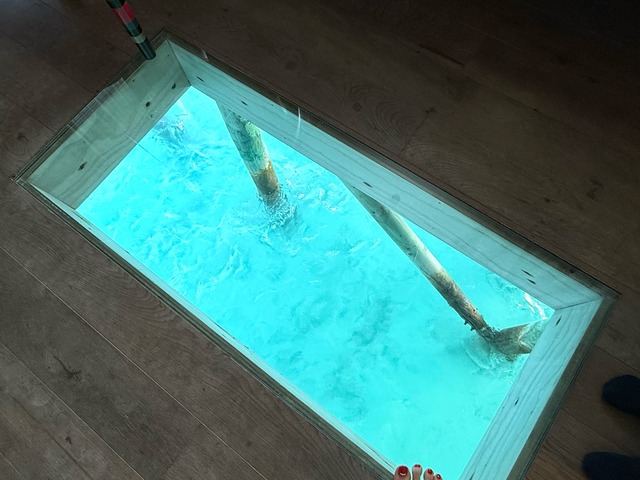 FullSizeRender