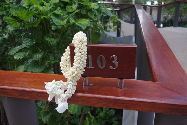 IMGP0853