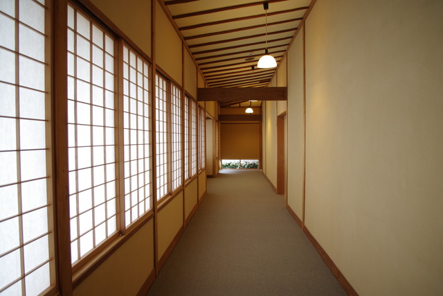 IMGP7869