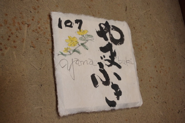 IMGP0793