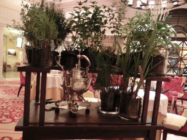 $月に一度の世界スパ&ホテル巡り