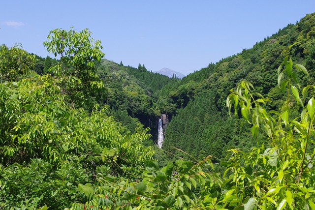 IMGP2449