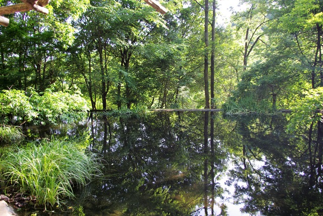 IMGP2656