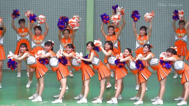 清純清楚埼玉栄高等学校チアガールチアリーダーパンチラパンツ丸見え (223)