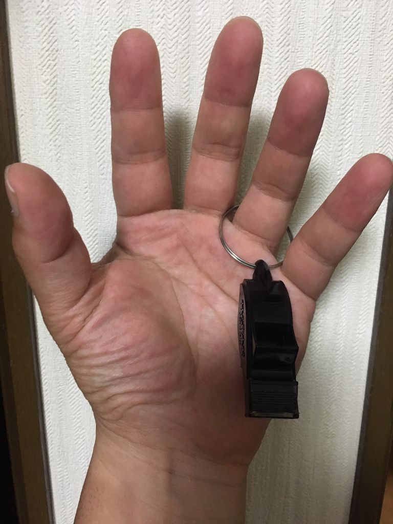 ハンドホイッスル バスケ審判のボヤキ ハンドホイッスル バスケ審判のボヤキ