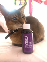 B877F093-10BF-4AFC-874D-E47CE37629A2