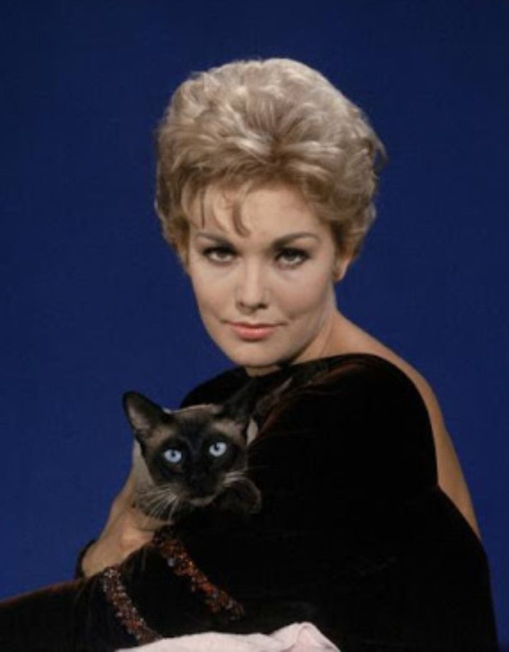 媚薬 キム ノヴァクの妖艶美 シネマニア日記