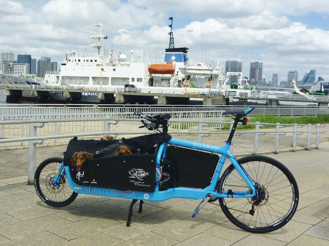 犬と野宿の自転車旅 計画 ミニチュアダックス シナショコマロの日記 犬と野宿の自転車旅 計画 ミニチュアダックス シナショコマロの日記
