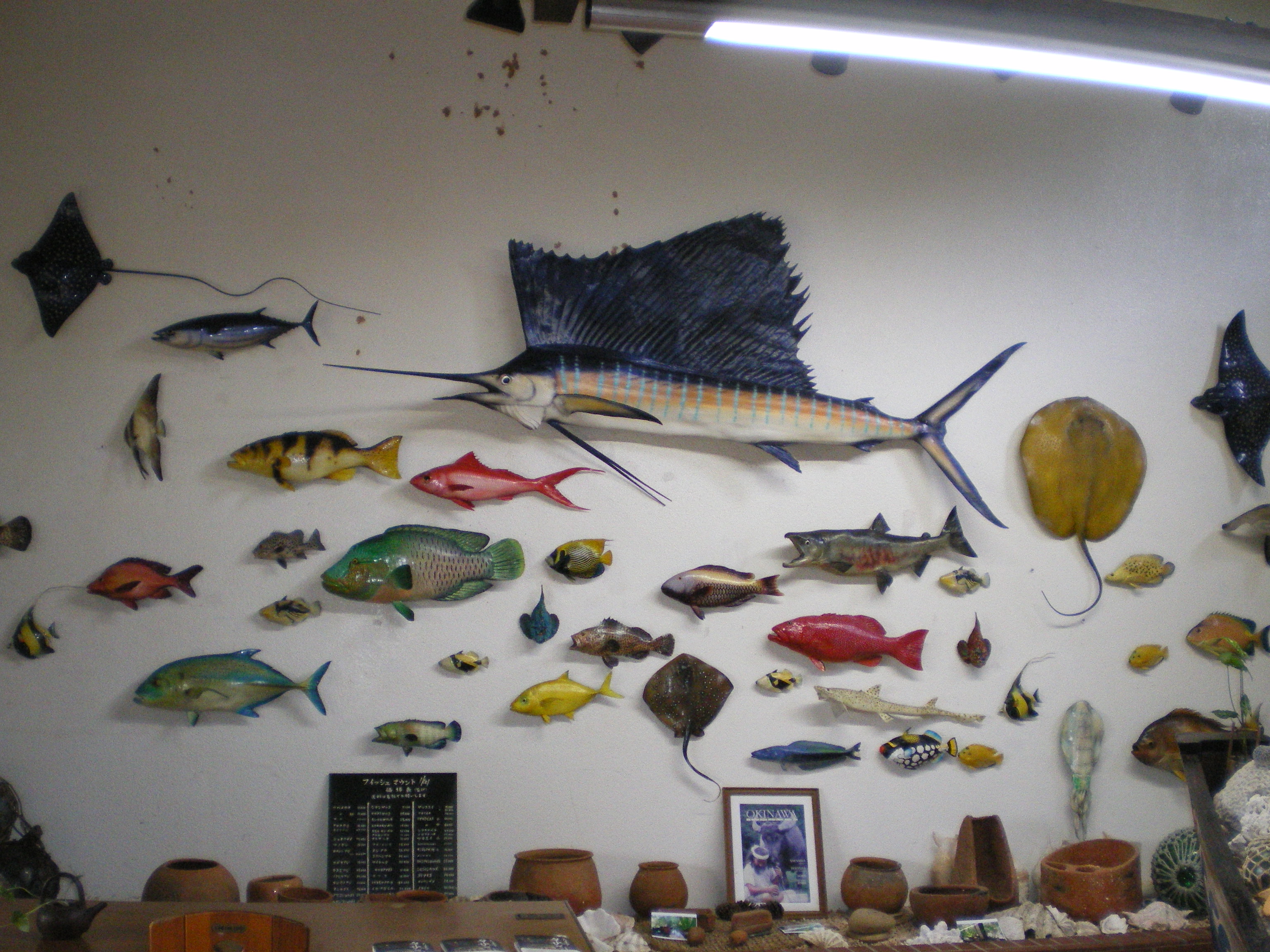 魚の剥製 セサミとクーの気まぐれ日記