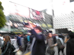 shibuya crossing