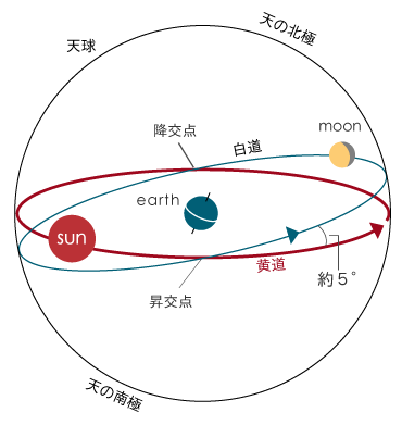 ドラゴンヘッド 天秤座へ スカブでこんにちワン