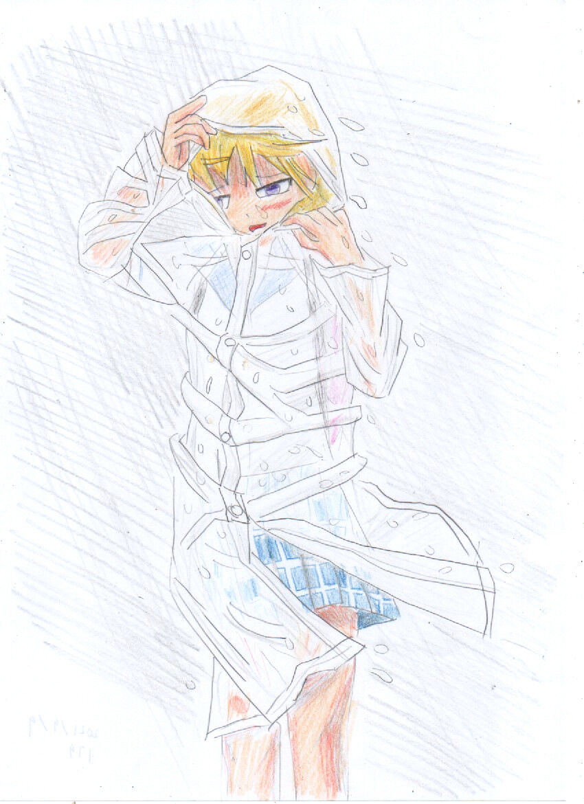 カッパは透明で 二次元