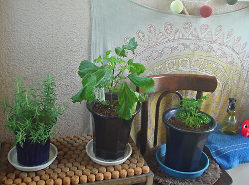 gardening_may2022