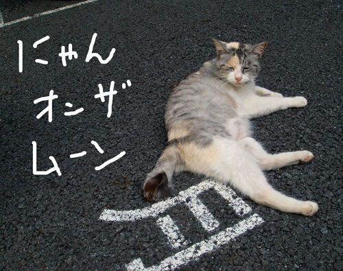 にゃんオンザムーン