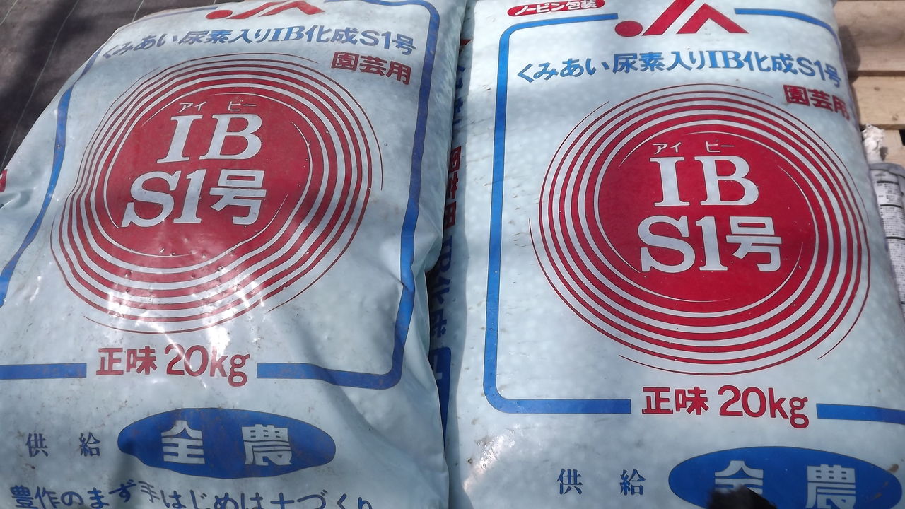 純度 パターン 助手 ビオラとib肥料の相性 Treasure Chest Jp