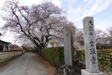 DSC02457