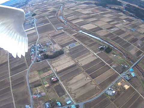 media_1_657c73d862024,12,8 コハク510現在福島