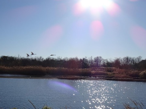 2024,12,17初飛来2❤❤