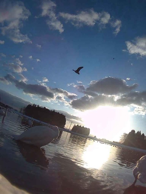 2025,2,25岩手県🦢1