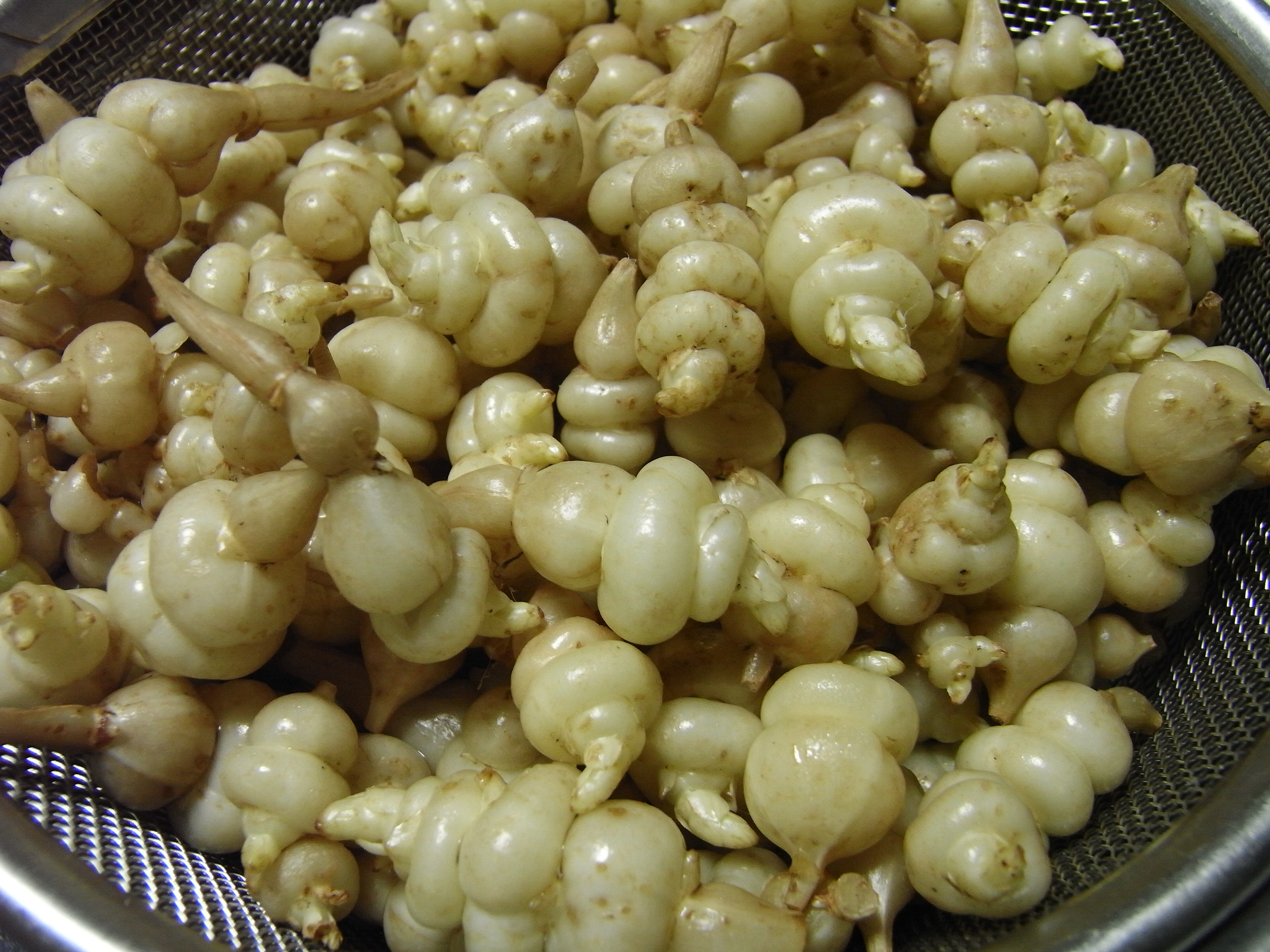 今年最後の野良仕事 自産自消的生活 野良仕事と保存食