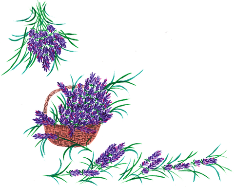 violkaart-lavender-7677117_640