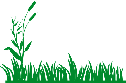 grass-149329_640
