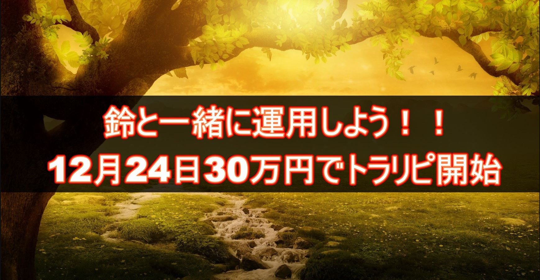 トラリピ実況中継 2 3週報告 30万円トラリピ企画に参加中 投資初心者がスーパーブロガー鈴さんの設定を真似してみました おしゃれパーマときもロンゲ トラリピ実況中継 2 3週報告 30万円トラリピ企画に参加中 投資初心者がスーパーブロガー鈴さんの設定を真似してみました おしゃれパーマときもロンゲ