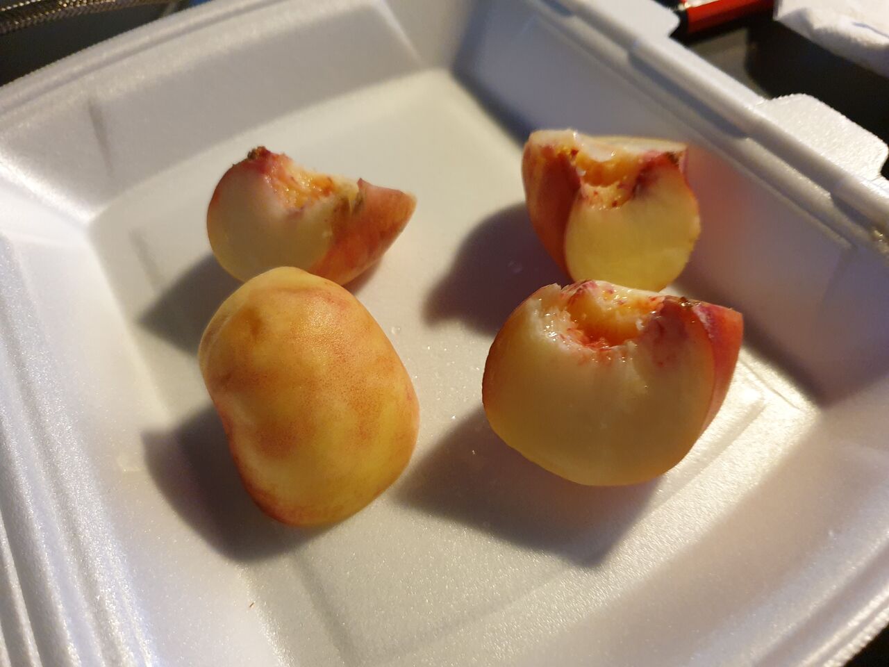 ドイツ ブラウンシュバイク 旅の食事 ヨーロッパでバンライフしたい