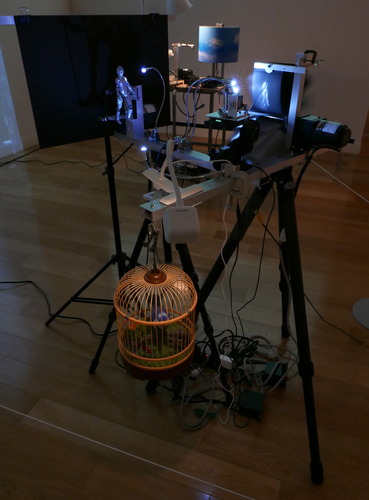 P1130064�Υ���゚��