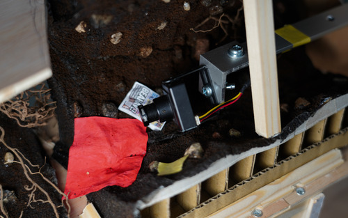 HowToFallDownTheRabbitHole_s09