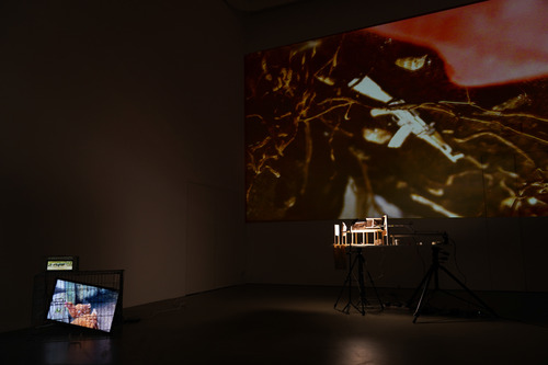 HowToFallDownTheRabbitHole_s03