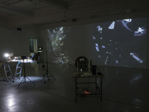 P1000833��RAW������