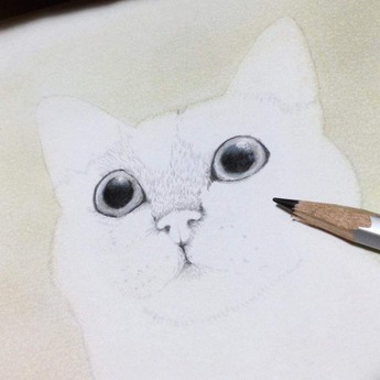 51225950_2170844489678299_2816337878508896256_n