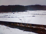 03264a98.jpg