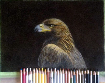 ���̥亮������