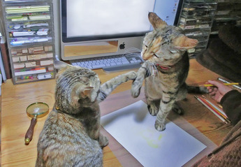 ねこ1503153