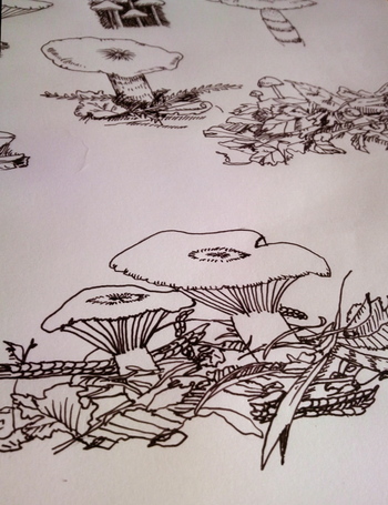 ���Τ��Τ��Τ�