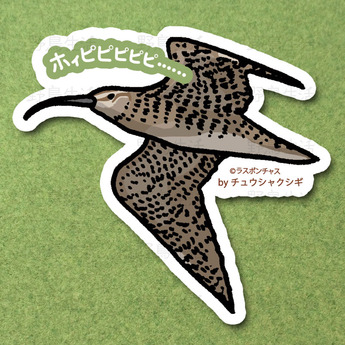 96_チュウシャクシギ