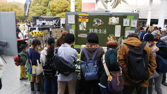 自然史フェス二日目