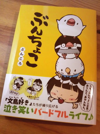 ぶんちょこ_1