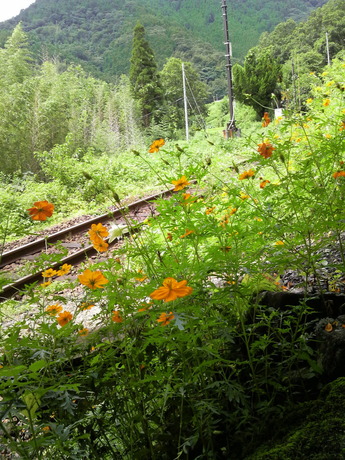 2012夏ロテン旅_03