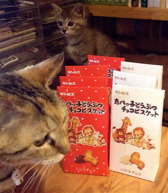 たべっこどうぶつ2