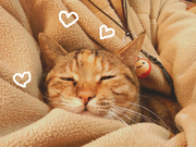BlogPaint