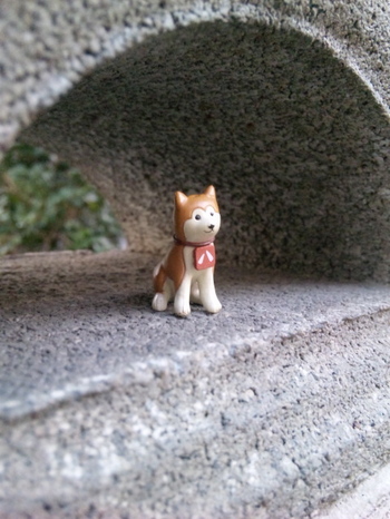 八がいない2.jpg
