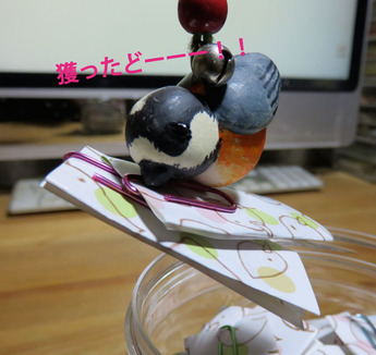 ヤマガラおみくじ3