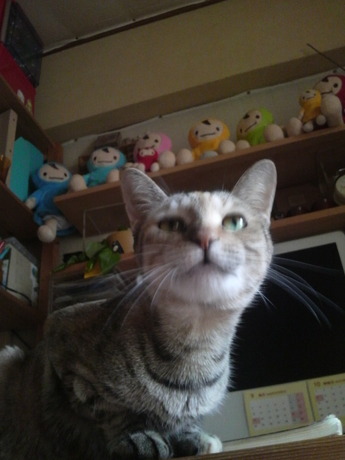 ち−20120911_8